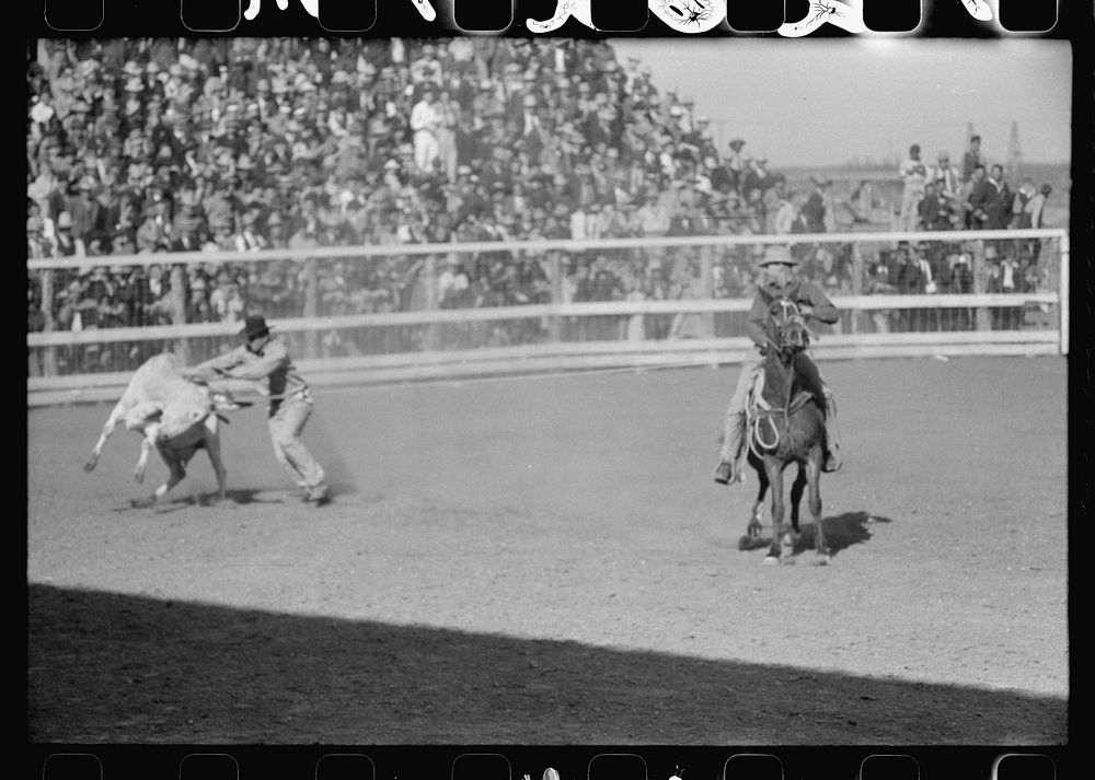 [Untitled photo, possibly related to: Rodeo scene at the San Angelo Fat Stock Show, San Angelo, Texas] by Russell Lee