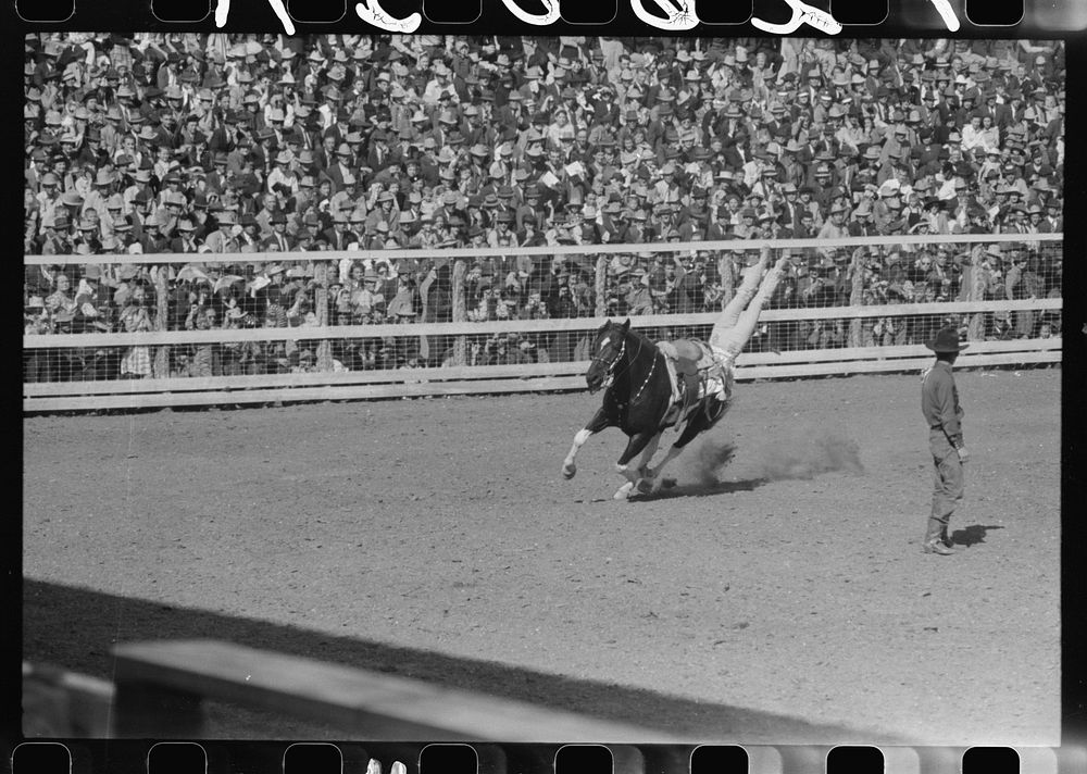 Fancy riding demonstration at the rodeo of the San Angelo Fat Stock Show, San Angelo, Texas by Russell Lee