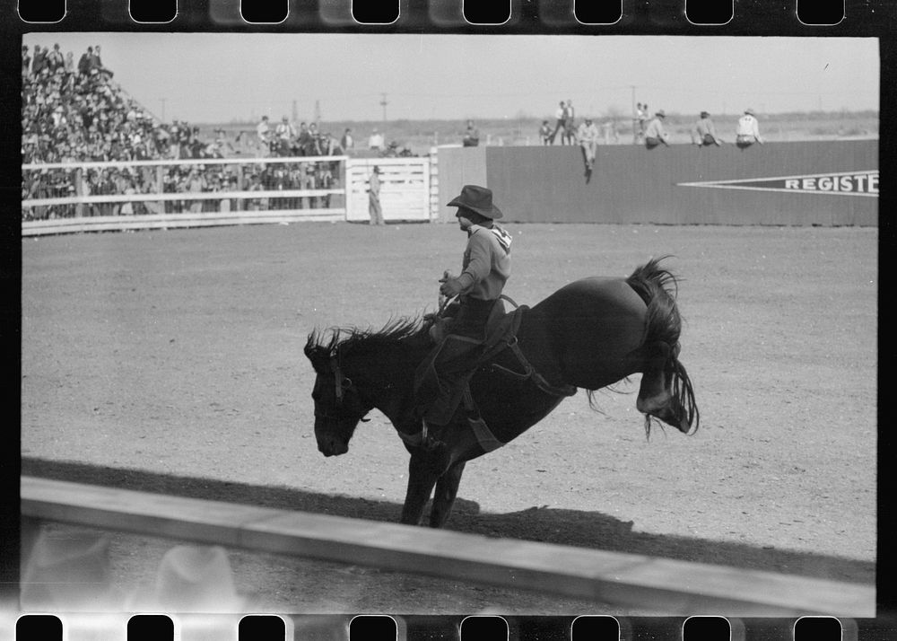 [Untitled photo, possibly related to: Fancy riding demonstration at the rodeo of the San Angelo Fat Stock Show, San Angelo…