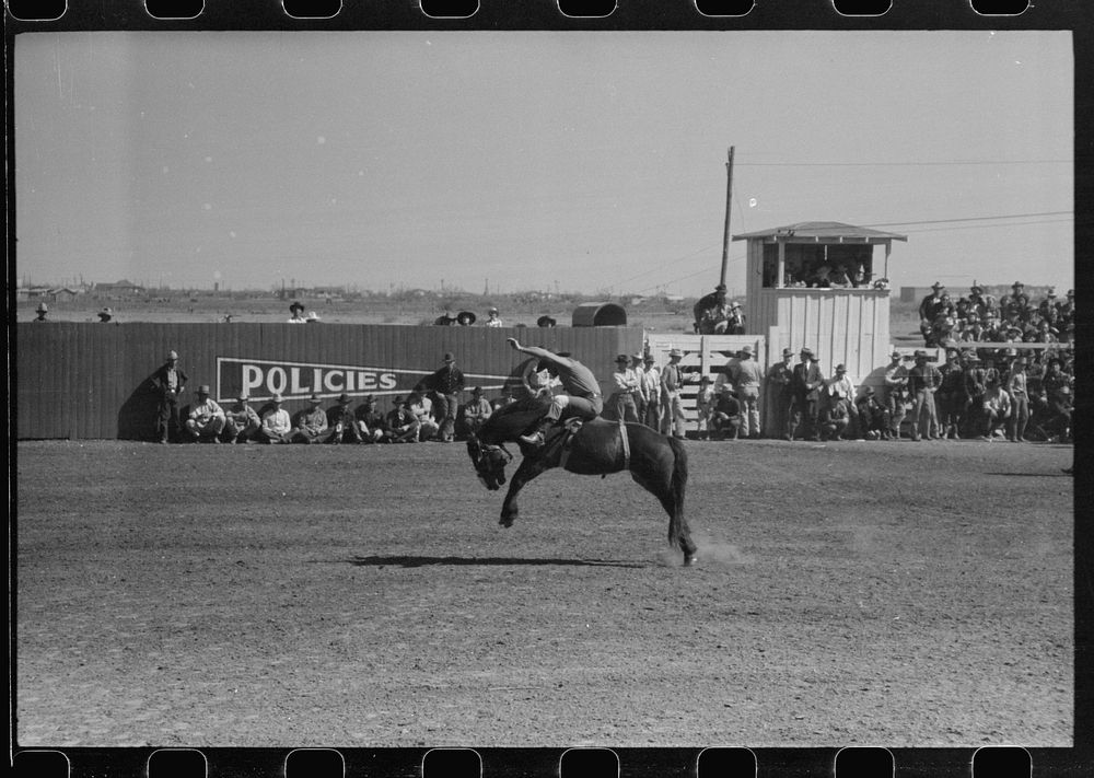 [Untitled photo, possibly related to: Fancy riding demonstration at the rodeo of the San Angelo Fat Stock Show, San Angelo…