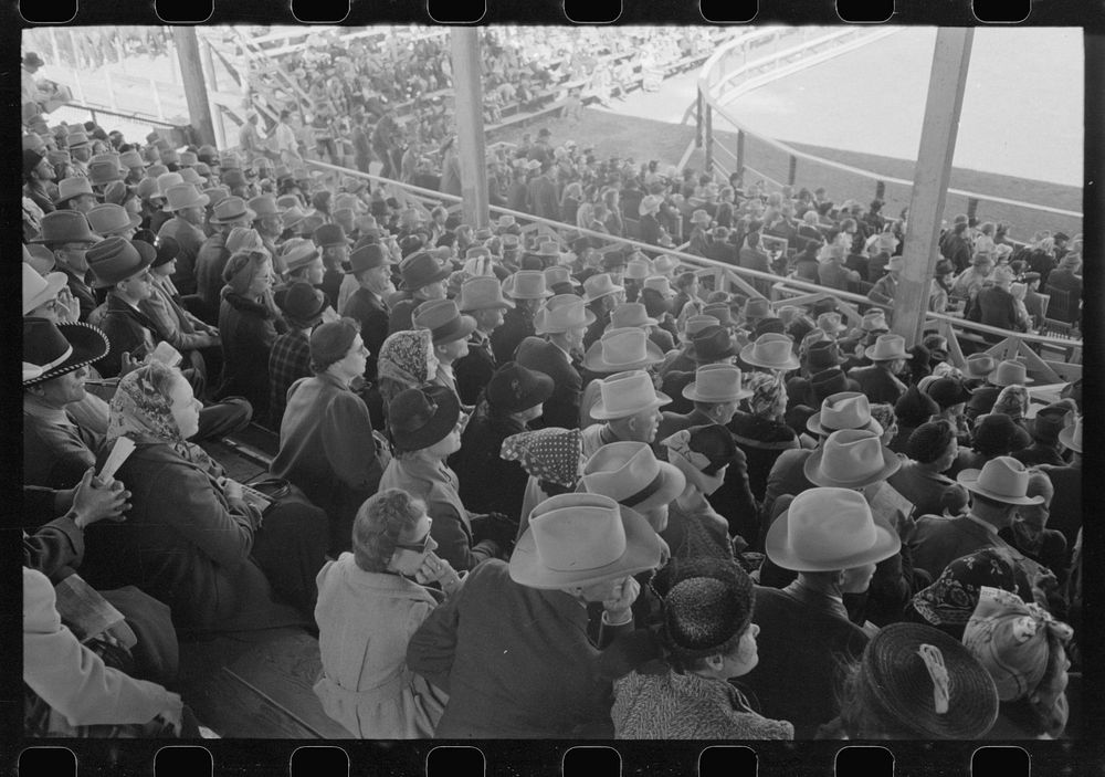 Crowd at the rodeo of the San Angelo Fat Stock Show, San Angelo, Texas by Russell Lee