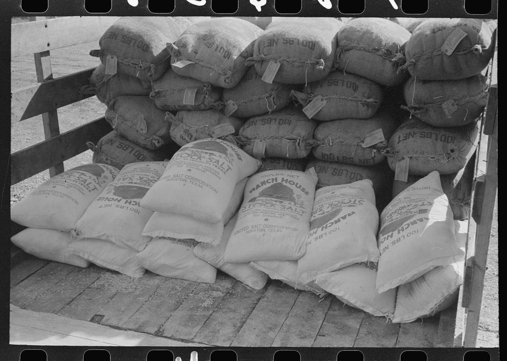 Stock salt and cotton seed meal on truck at warehouse of Kimble County, wool and mohair company. Junction, Texas by Russell…