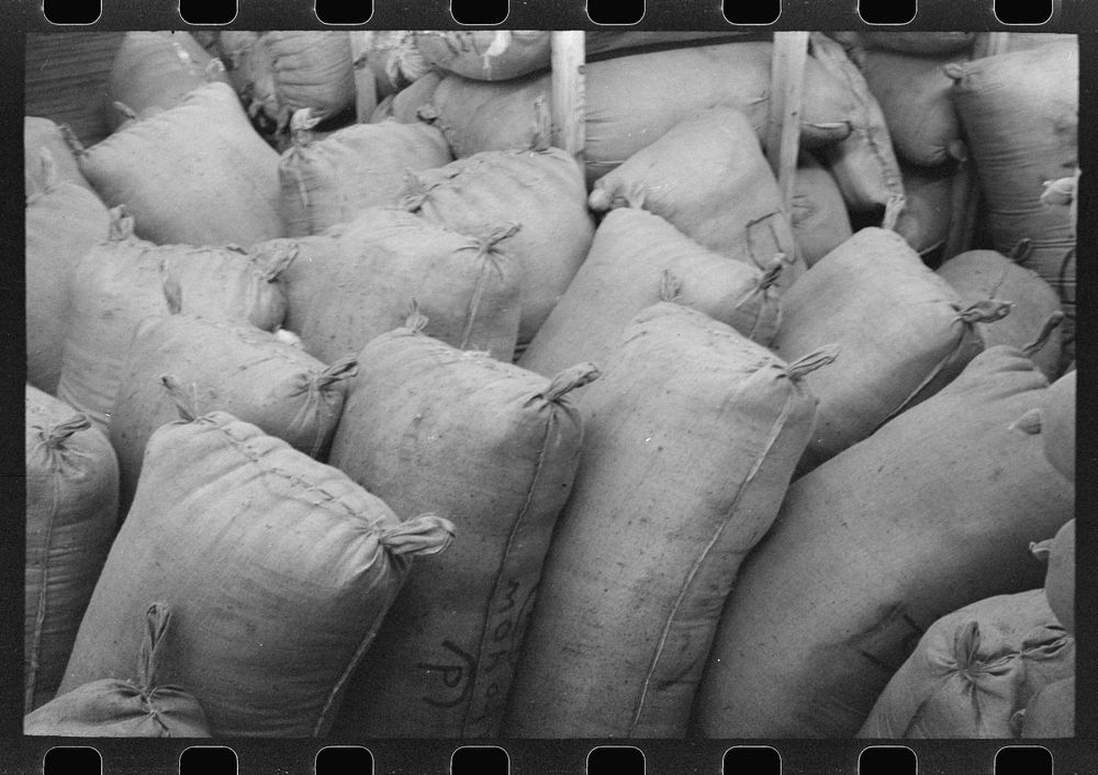 [Untitled photo, possibly related to: Sacks of mohair in storage at the warehouse of the Kimble Wool and Mohair Company…