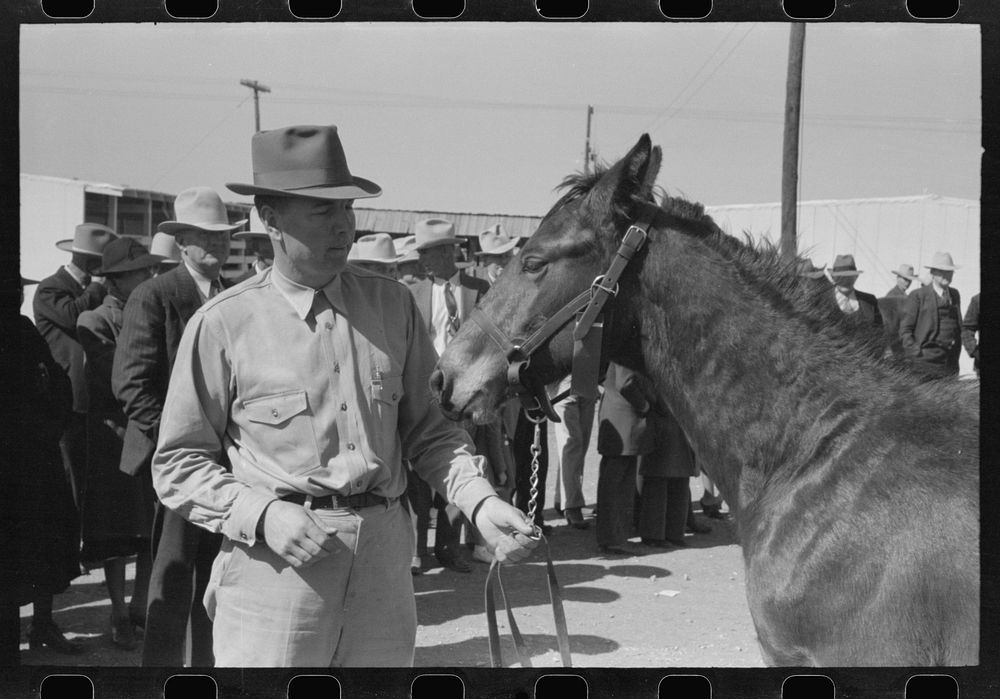 West Texan and his horse which he is displaying in show ring at the San Angelo Fat Stock Show, San Angelo, Texas by Russell…