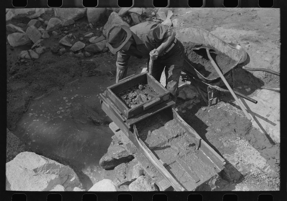 [Untitled photo, possibly related to: Eugene Davis, gold prospector, operating "rocker". Rocks and sticks remain in the…