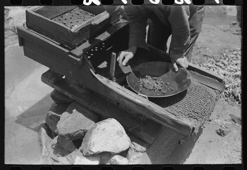 [Untitled photo, possibly related to: Gold prospector pouring water through his "rocker," Pinos Altos, New Mexico. He was…