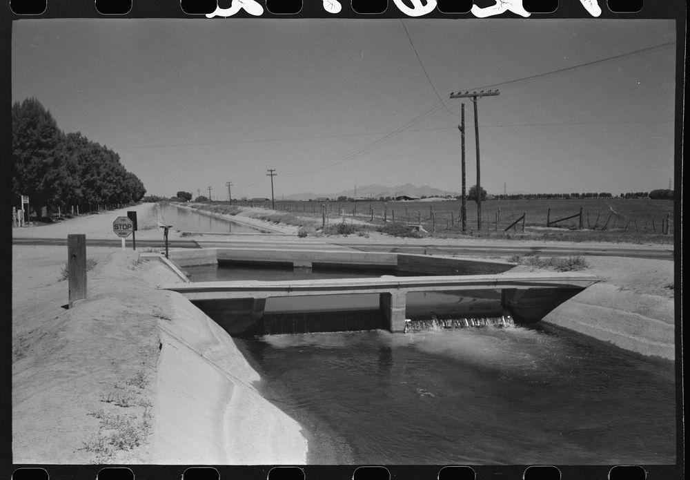 [Untitled photo, possibly related to: Irrigation ditch fed by water from deep-driven wells, Maricopa County, Arizona] by…