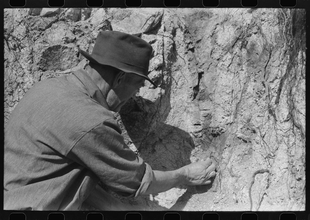 Prospector taking a sample of dirt from creek bed which contains scattered gold. Pinos Altos, New Mexico by Russell Lee