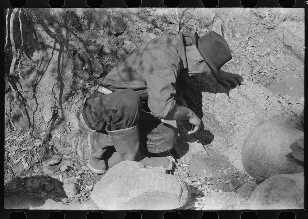 Prospector examining rock formation along creek bed which contains gold. Pinos Altos, New Mexico by Russell Lee
