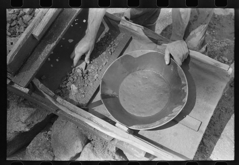 Prospector taking material left in rocker which he will place in pan for the recovery of the gold which it contains. Pinos…