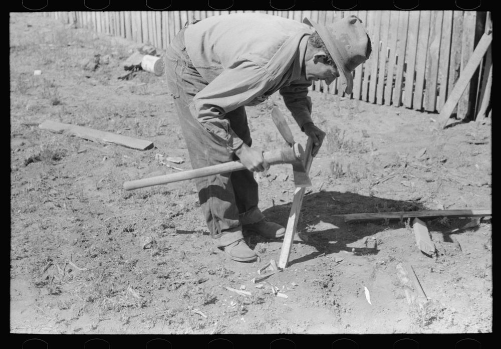 Faro Caudill making posts for his tent in which the family will live while the dugout is being rebuilt near the well. Pie…