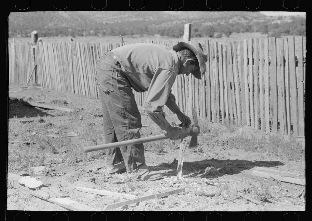 [Untitled photo, possibly related to: Faro Caudill making posts for his tent in which the family will live while the dugout…