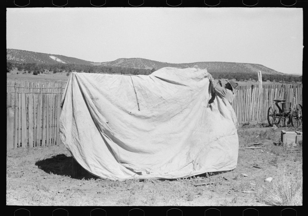 Faro Caudill putting up tent in which his family will live while dugout is being rebuilt nearer well. Pie Town, New Mexico…