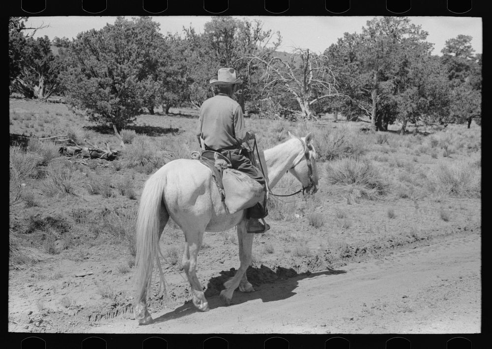 Homesteader returning home from trip to town, Pie Town, New Mexico by Russell Lee