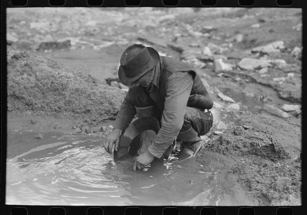 [Untitled photo, possibly related to: Prospector panning gold. The light objects are probably not gold as it is very unusual…