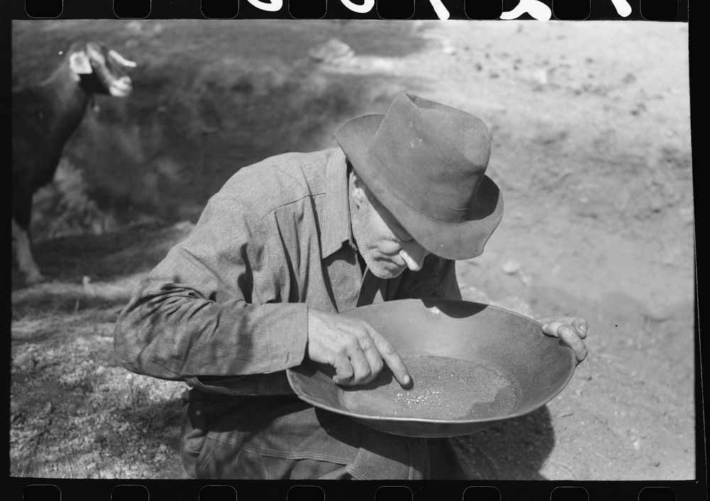 [Untitled photo, possibly related to: Prospector blowing on pan of fine dirt which contains particles of gold in order to…