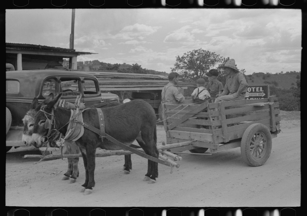 Burro-drawn cart of Mr. Leatherman, Pie Town, New Mexico by Russell Lee