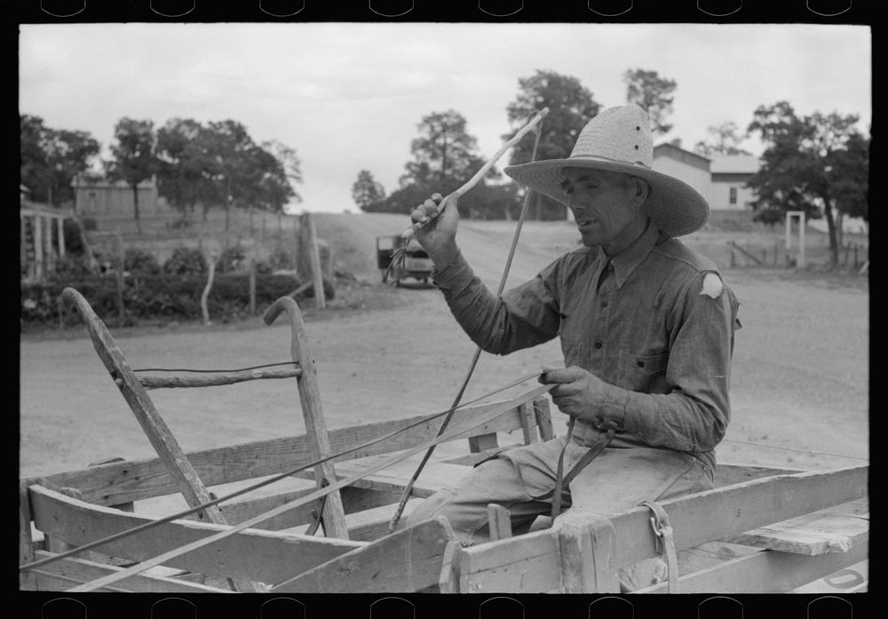 Mr. Leatherman starting for home in his burro-drawn cart. The handles of the cart belong to a homemade terracing implement…