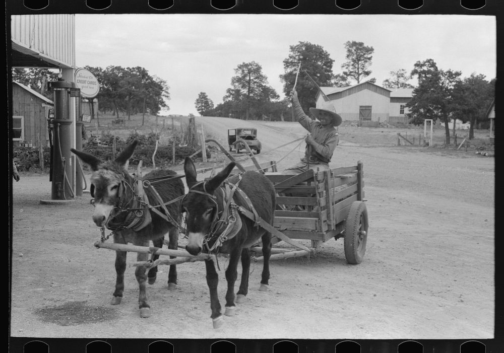 Mr. Leatherman drives his burro-drawn cart up to the filling station to get air in the rubber tires. Pie Town, New Mexico by…
