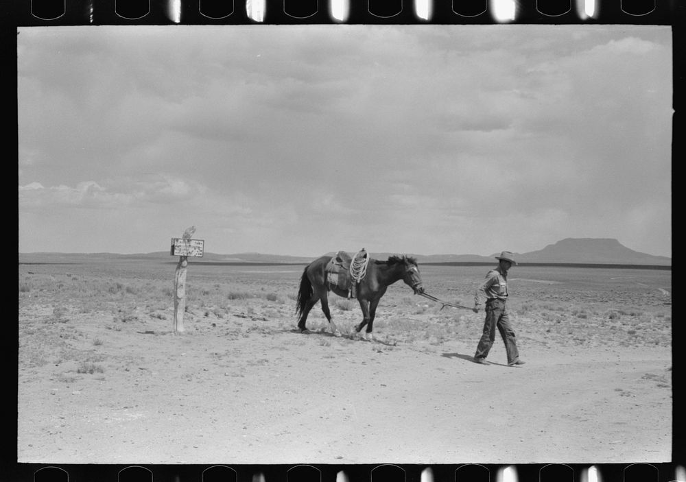 Cowboy with Spanish cowpony. Pie Town, New Mexico by Russell Lee