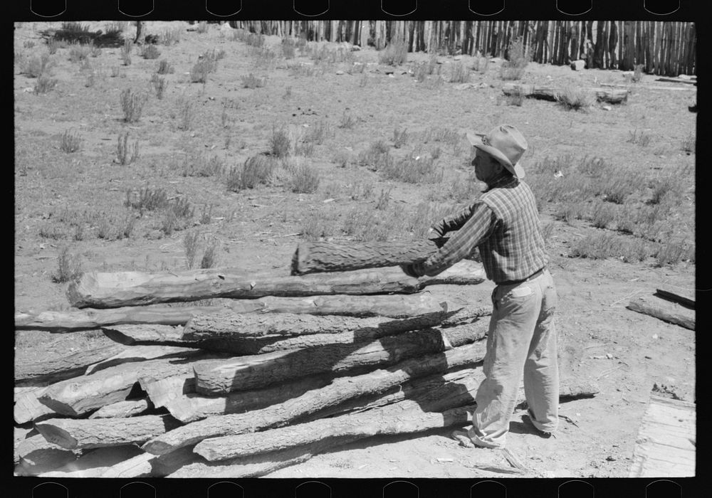John Adams stacking up pinon poles which have been taken from the dugout which is being torn down. Pie Town, New Mexico by…