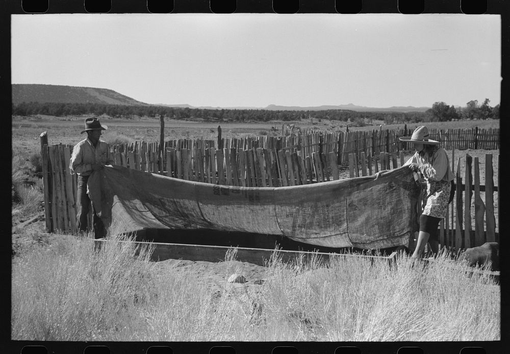 Faro and Doris Caudill covering up frame garden; large garden is in the background. Pie Town, New Mexico by Russell Lee