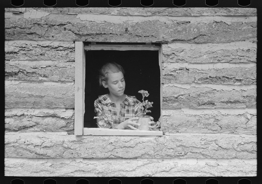 Jack Whinery's daughter setting pot plant in window. This is the window in the aboveground slab room. Pie Town, New Mexico…