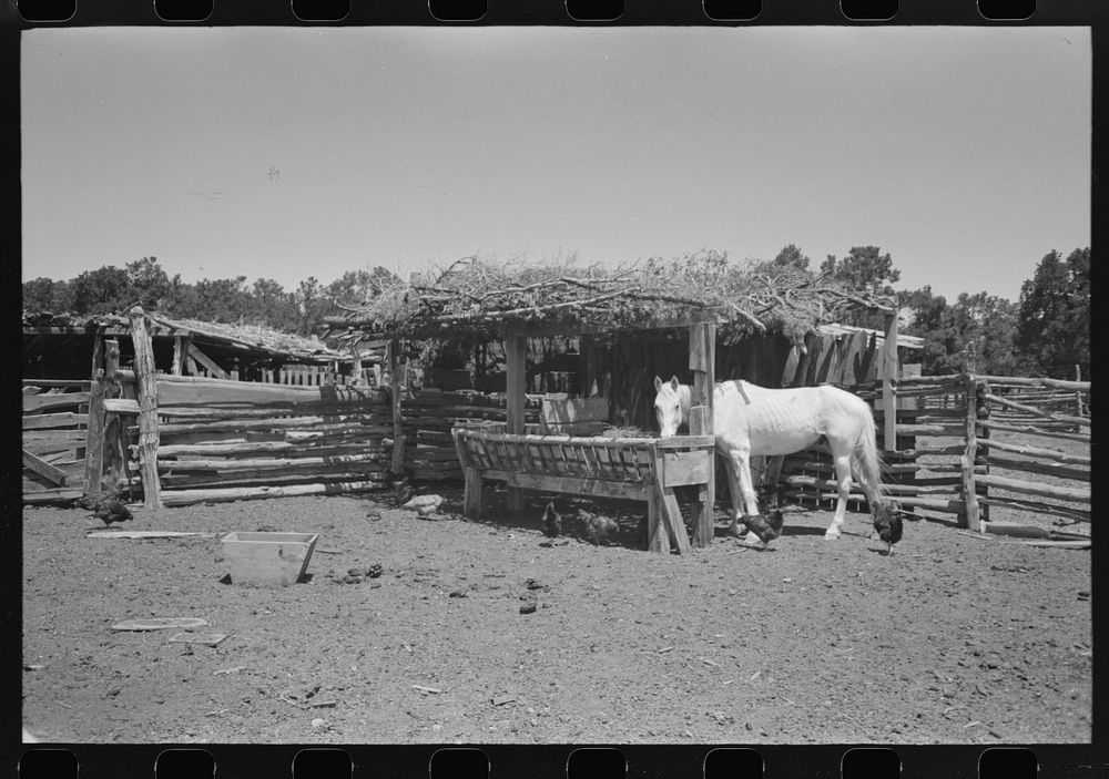 Horse lot on homesteader's farm. Pie Town, New Mexico by Russell Lee