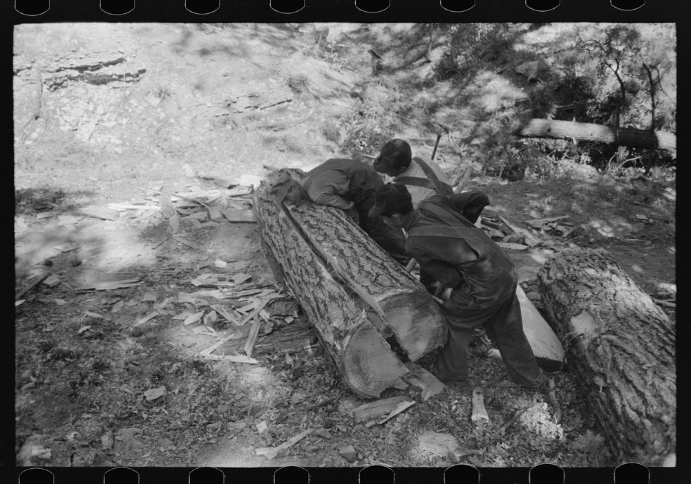 [Untitled photo, possibly related to: Driving in wooden wedge to split logs which will then be cut with broadaxe into ties…