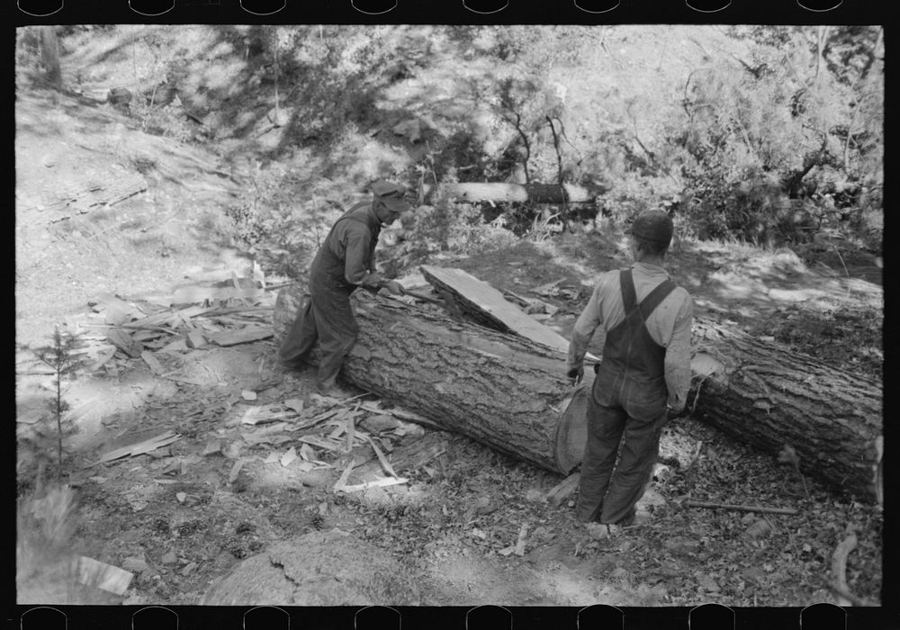 Rolling over log at tie-cutting camp, Pie Town, New Mexico by Russell Lee