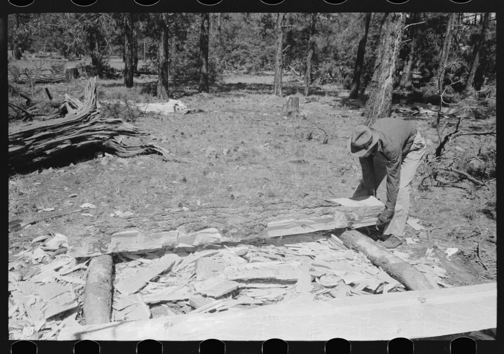 Putting log into place before hewing into tie, Pie Town, New Mexico by Russell Lee