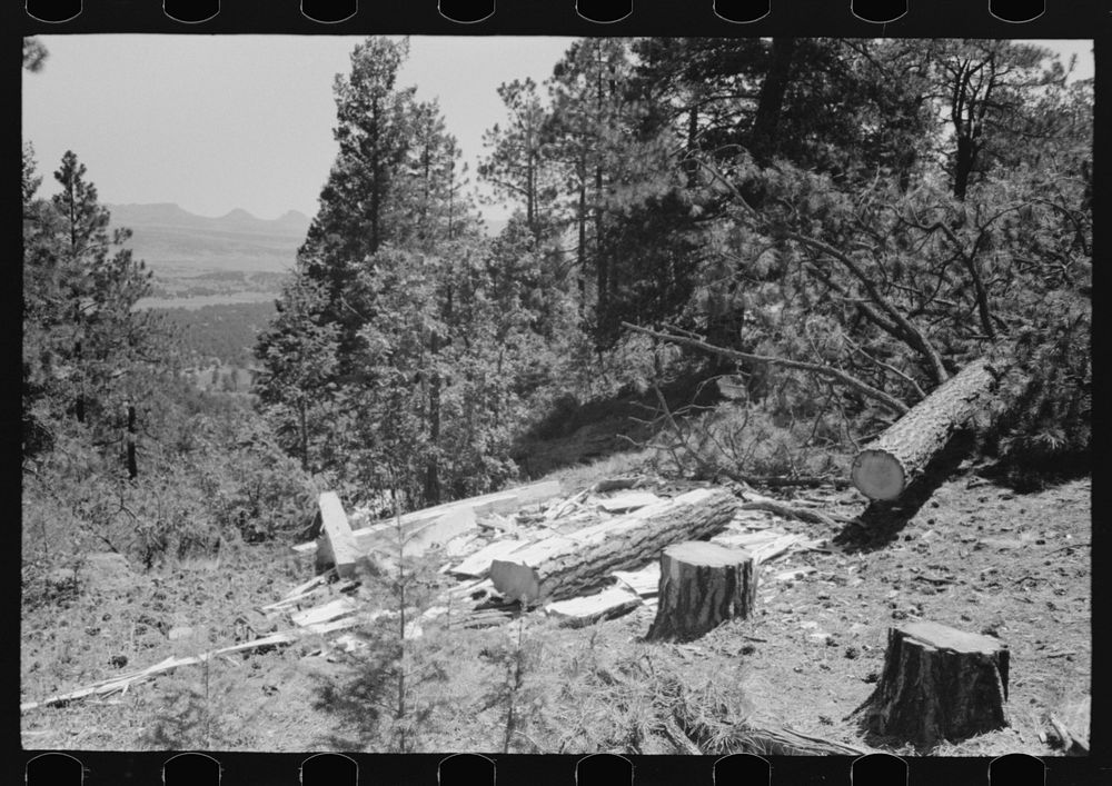 [Untitled photo, possibly related to: Logs which are being hewn into ties. The ties are hewn with broadaxes where the tree…