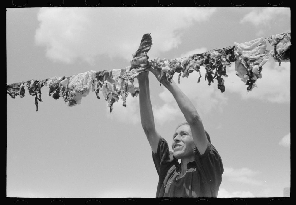 Spanish-American woman hanging up meat to dry, Chamisal, New Mexico by Russell Lee