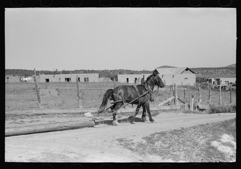 Logs are transported in the Spanish-American country by means of horse and chain. Chamisal, New Mexico by Russell Lee