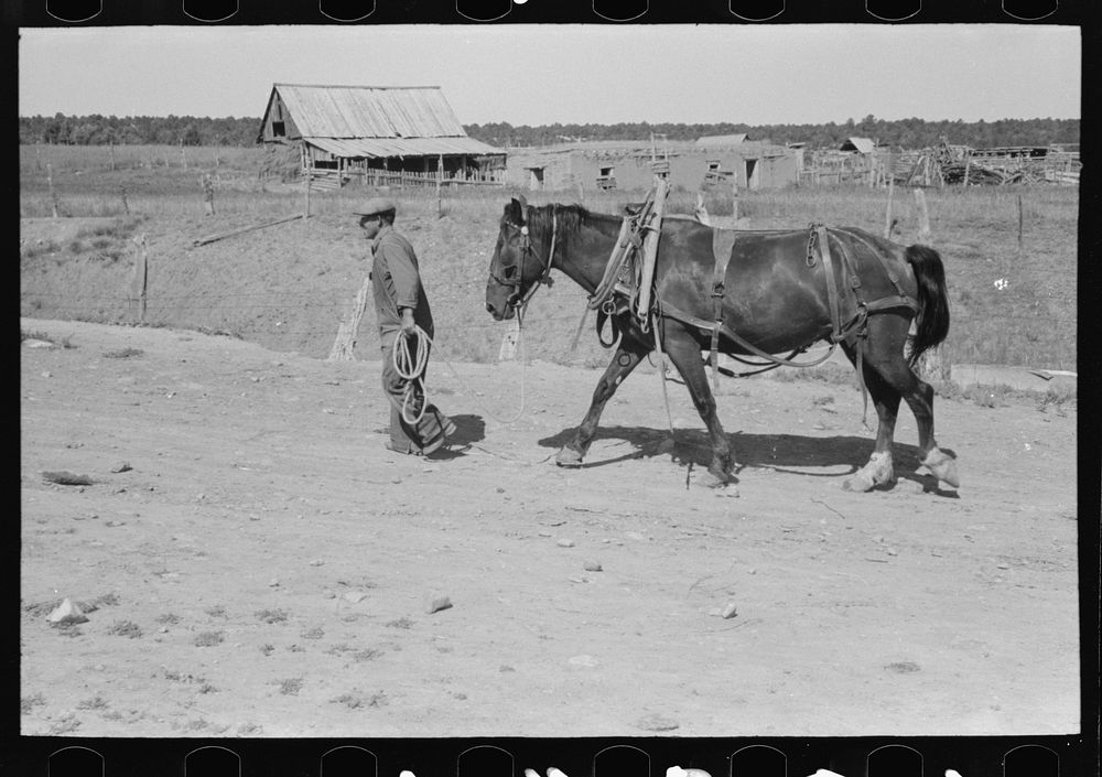 Spanish-American and horse. Chamisal, New Mexico by Russell Lee