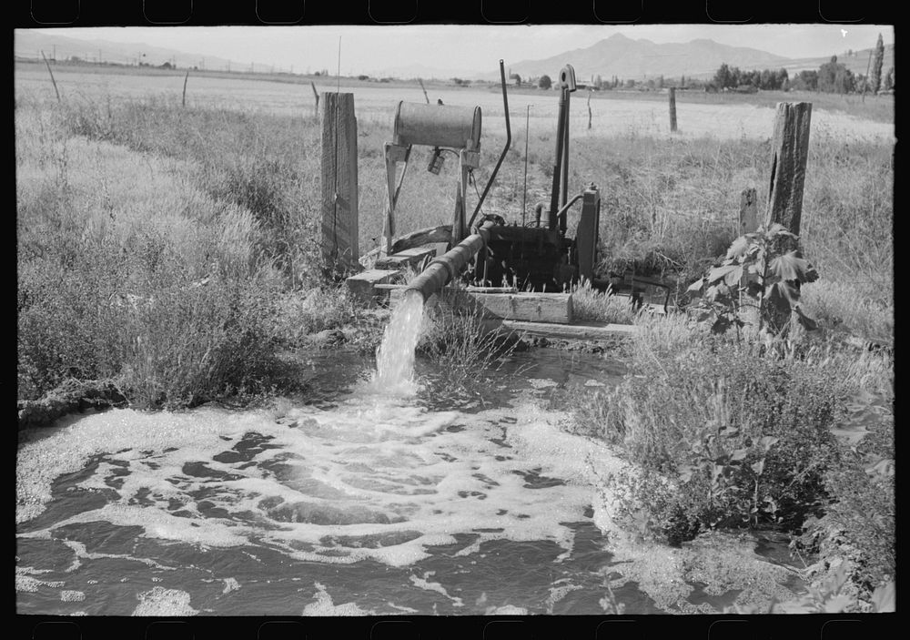 Pumping water which was excess in irrigating one field to a higher level to be used again for irrigation. Box Elder County…