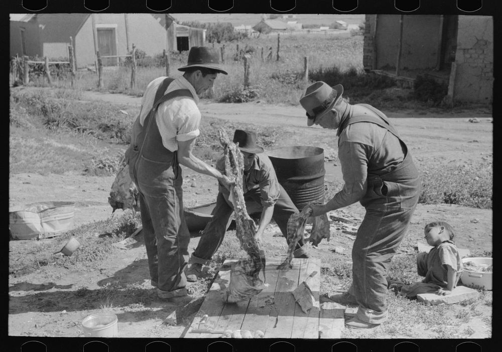 Spanish-American farmers breaking backbone of slaughtered hog with axe. Chamisal, New Mexico by Russell Lee