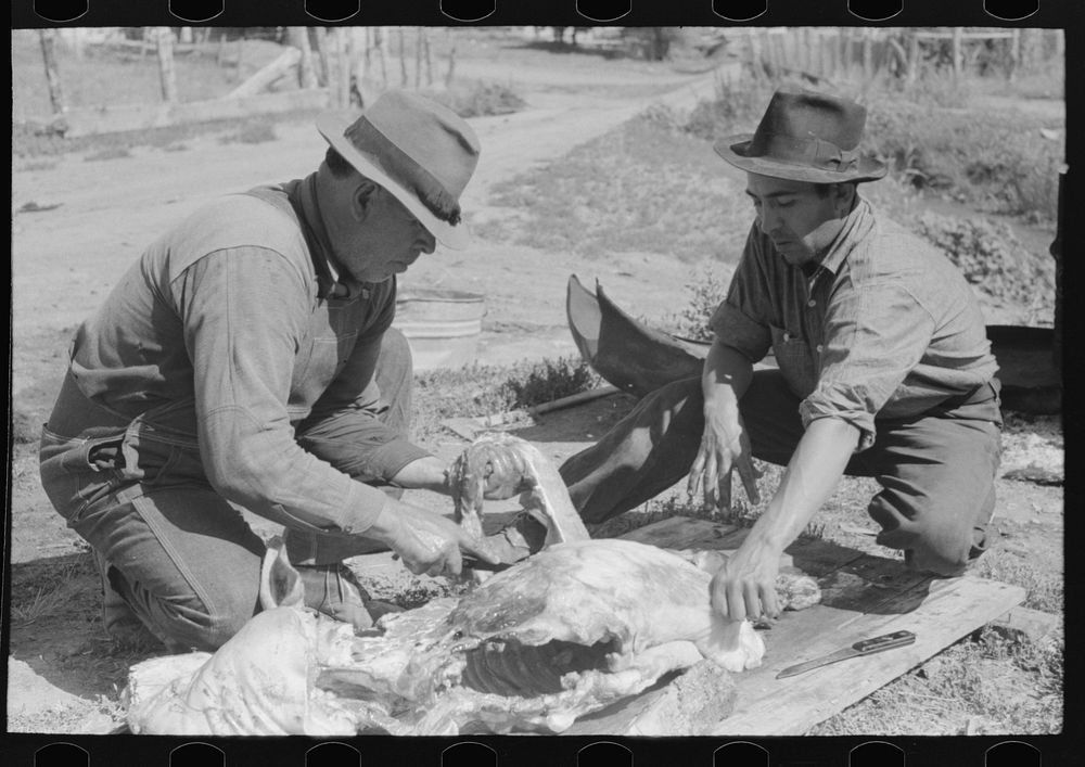 Cutting up slaughtered hog. Chamisal, New Mexico by Russell Lee