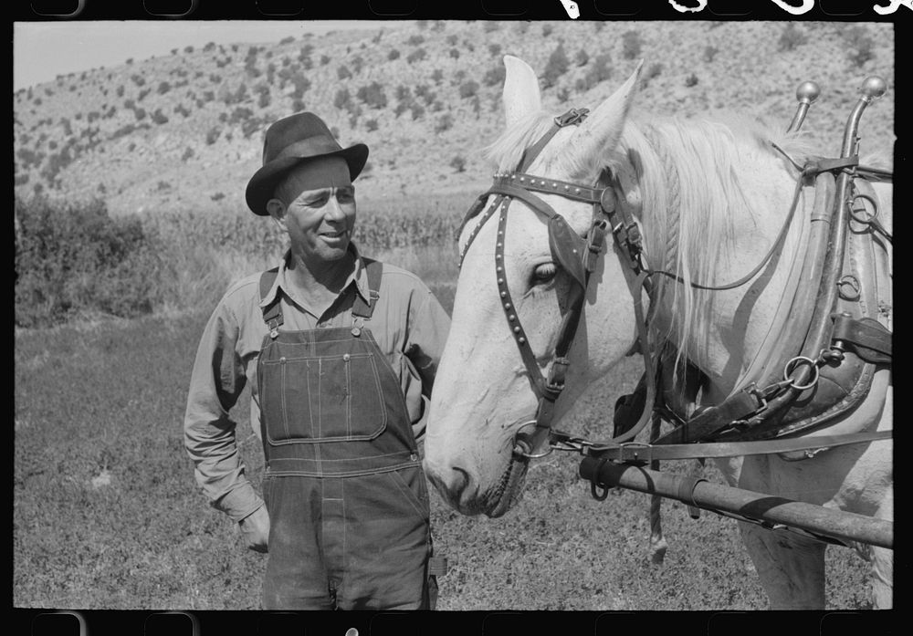 Mormon farmer, Box Elder County, Utah by Russell Lee