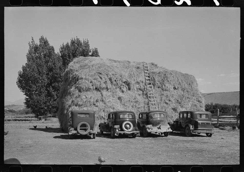 Haystack and automobile of peach pickers, Delta County, Colorado by Russell Lee