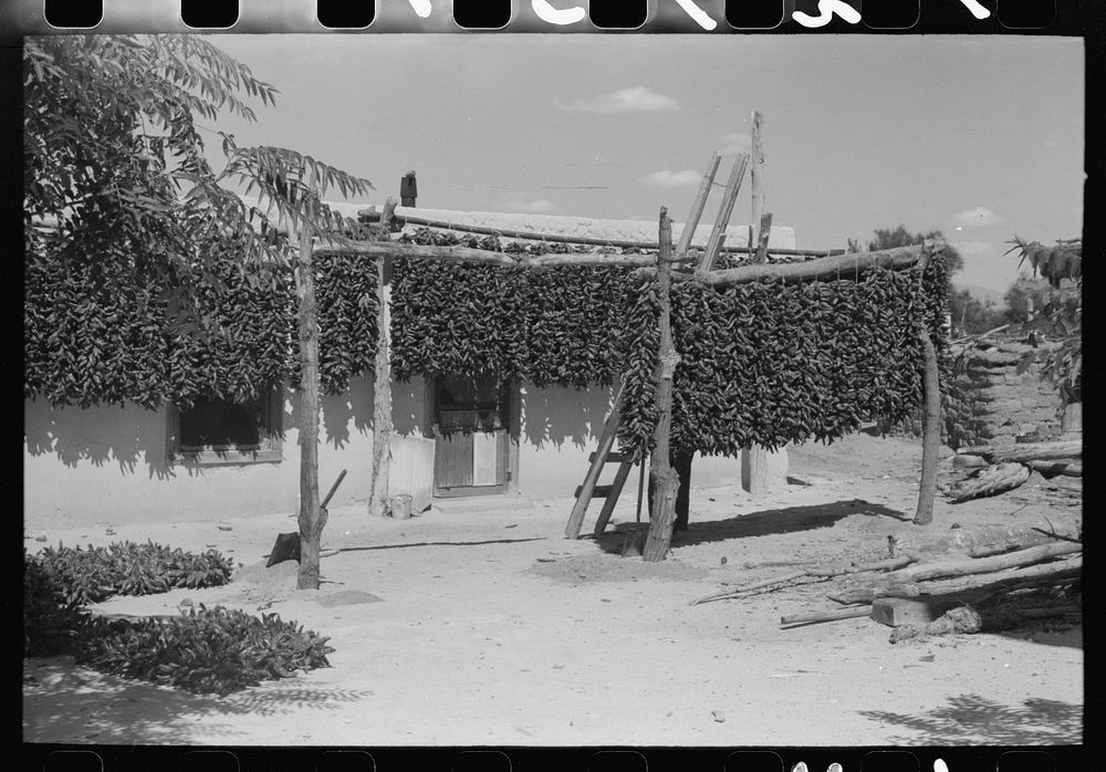 Chili peppers in front of adobe house of Indians living at Isletta, New Mexico by Russell Lee