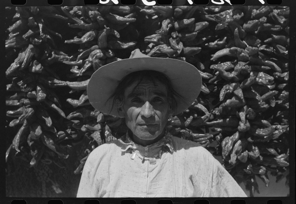[Untitled photo, possibly related to: Indian and his wife in front of house with chili peppers, Isletta, New Mexico] by…