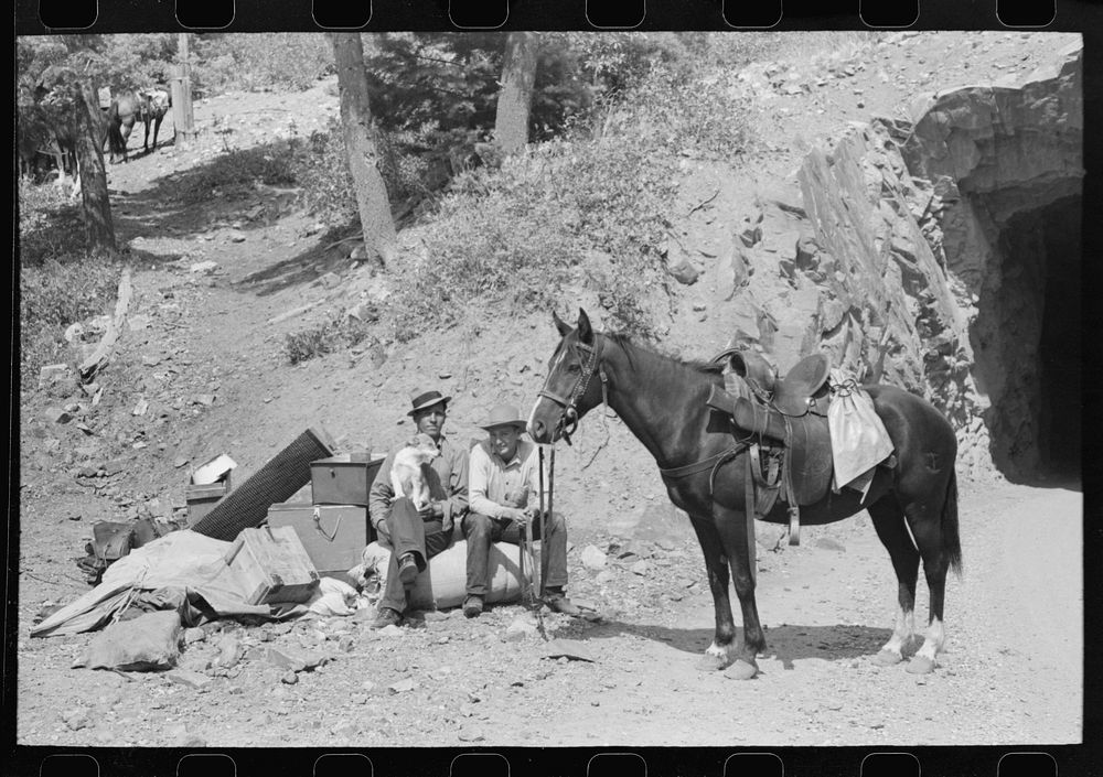 [Untitled photo, possibly related to: Sheepherder with his horse and camp outfit, Ouray County, Colorado] by Russell Lee