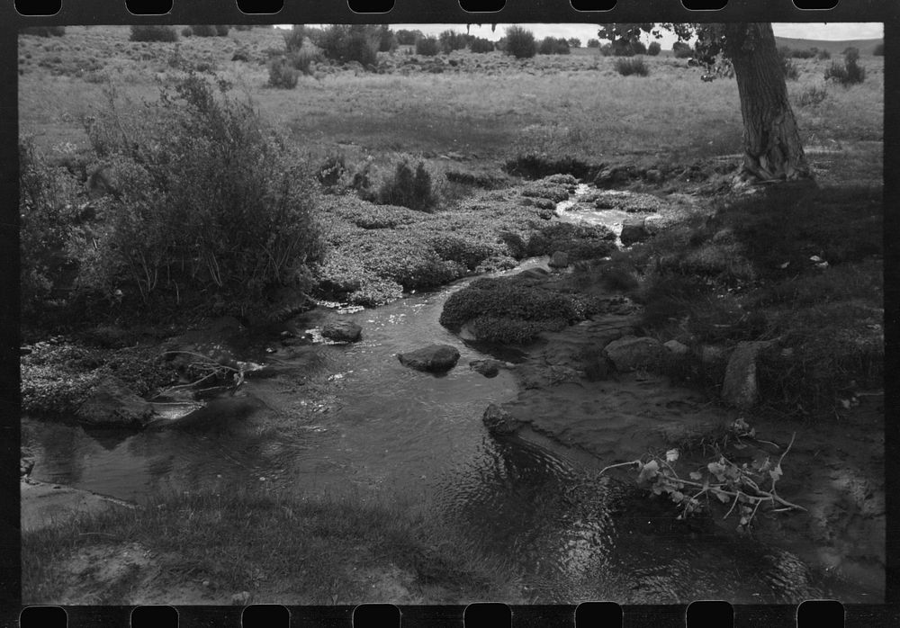[Untitled photo, possibly related to: Irrigation water for Concho, Arizona, is furnished by a large spring several miles…