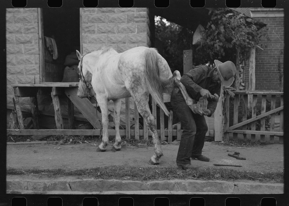 Mormon farmer shoeing a horse, Santa Clara, Utah by Russell Lee