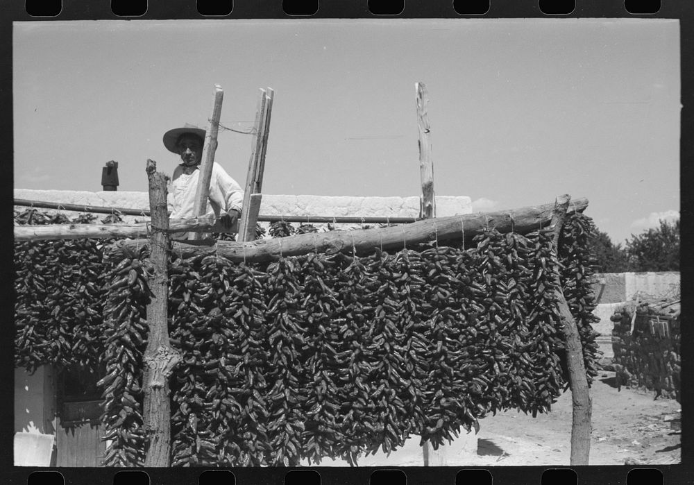 Chili peppers being dried, Isletta, New Mexico by Russell Lee