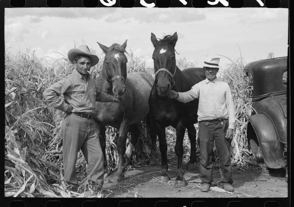 Spanish farmer with hired hand and two horses, Concho, Arizona by Russell Lee