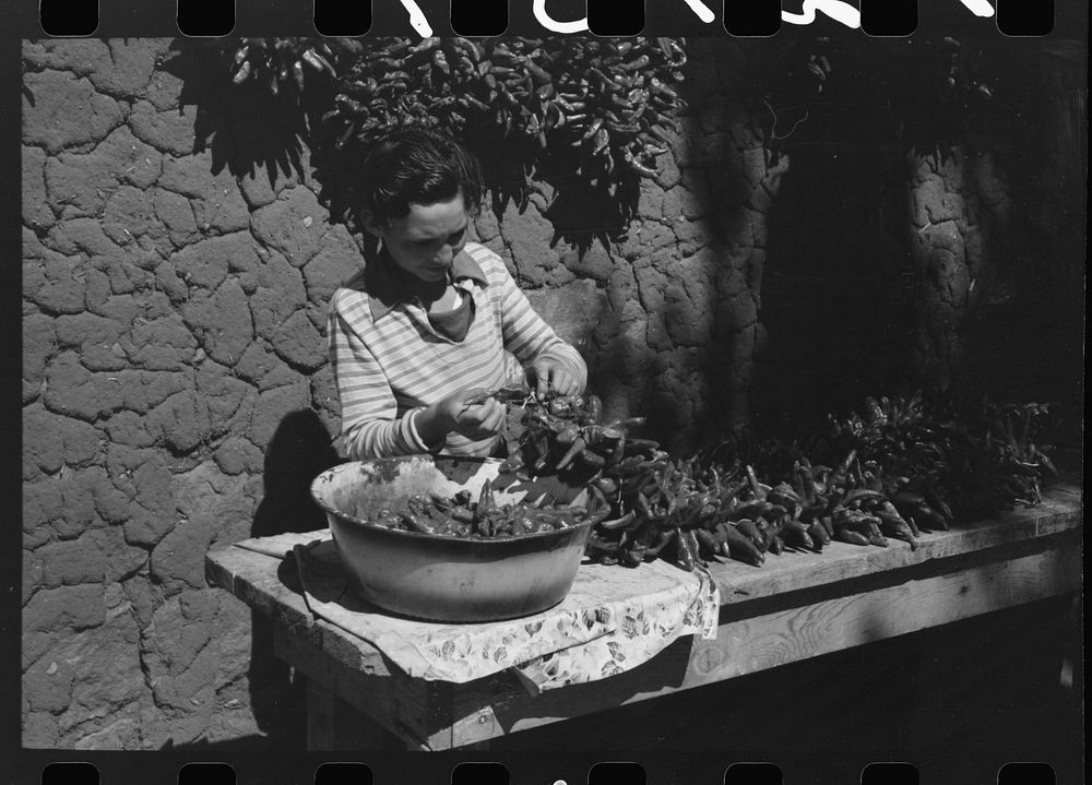 Spanish boy stringing chili peppers for drying, Concho, Arizona by Russell Lee