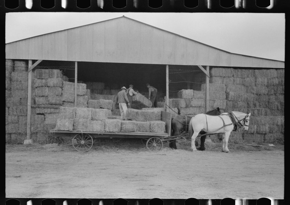 Visalia, California. Members Mineral King Free Photo rawpixel