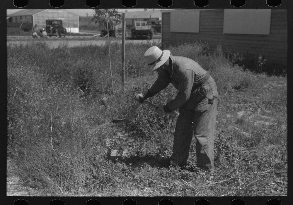 [Untitled photo, possibly related to: Farmer worker cutting weeds at the FSA (Farm Security Administration) labor camp.…